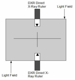 X-Ray Ruler를 이용한 측정배치 예