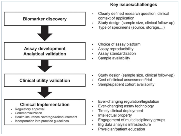 종양표지자의 개발 및 임상적 적용 과정(Transl Cancer Res 2015 Cancer biomarker discovery and validation에서 인용)