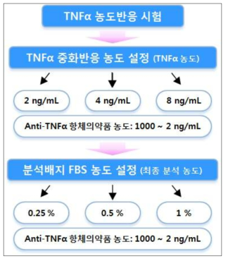 TNFα 중화반응 조건설정 시험 개요