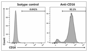 Effector 세포주의 CD16 단백질 발현 확인