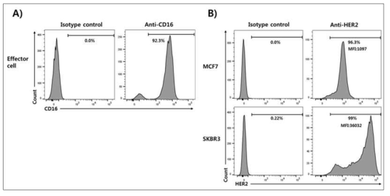 Effector 세포주와 target 세포주 2종의 주요 표면단백질 발현 확인