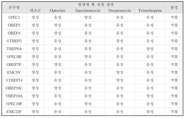 13개 균주 혈청형의 항생제 저항성 확인 결과