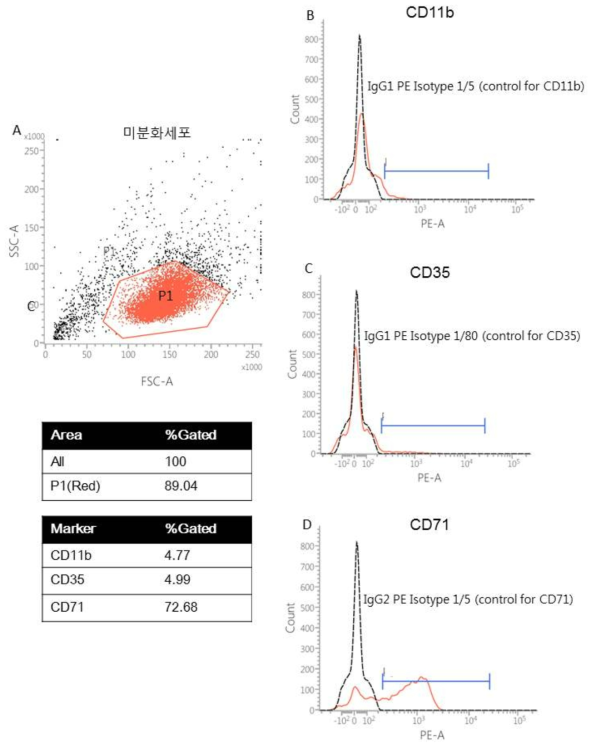 미분화세포의 Surface marker 확인