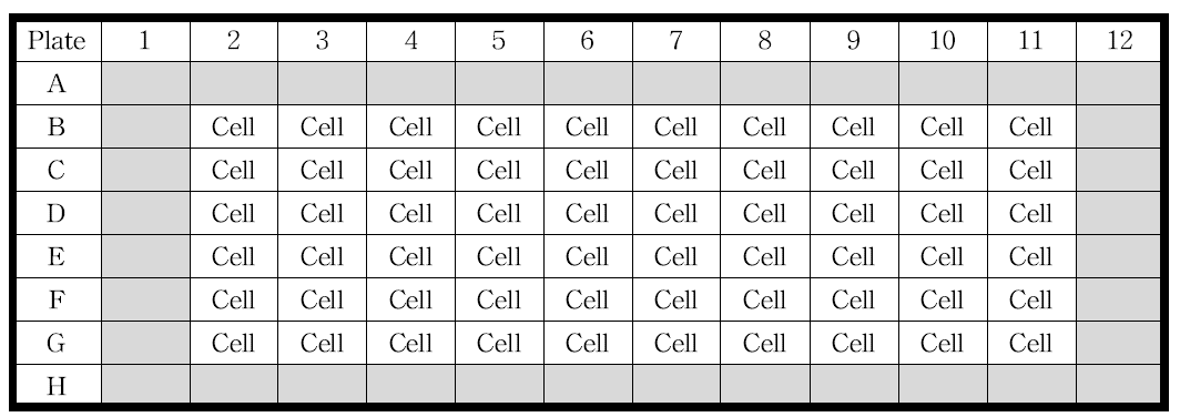 293TT 세포의 96-well flat bottom plate layout