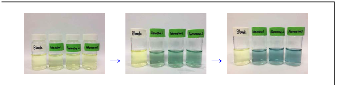 아데노신 확인시험 중 정색반응 과정 및 결과