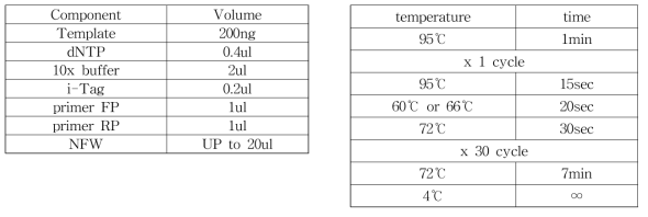 cDNA 증폭을 위한 Solution 조성 및 PCR 조건