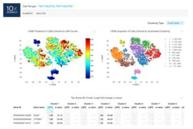 Cellranger를 이용한 tSNE clustering