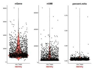세포의 nGene, nUMI, percent.mito의 분포