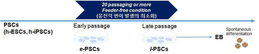 본 연구과제에서 배양적응 샘플을 만들기 위한 개요