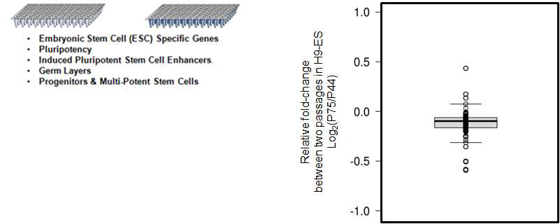 QIAGEN RT2 Profiler PCR arrays 이용한 pluripotent 및 differentiation 관련 특이적 유전자들의 발현 검정. H9의 P44 vs P75의 passage 사이에서 발현량 비교시 유의미성이 없는 변화 범위에서 존재