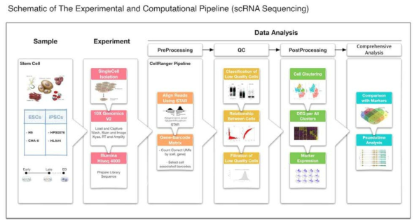 scRNA-Seq 분석을 위한 파이프라인 구성 개요도