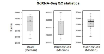 scRNA-Seq에서 분석된 cell 수, cell 당 reads 수, cell 당 유전자 수