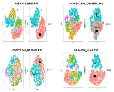 tSNE clustering 이용한 cell population의 이형화(heterogeneity) 확인