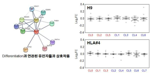 H9과 HLA#4에서 ID1과 상호작용 관계의 유전자들의 발현량 분석