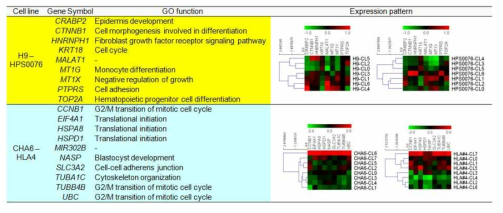 H9과 HPS0076, CHA6와 HLA4 사이에서 ID1, DUSP6, THY의 발현변화의 유사 패턴 확인