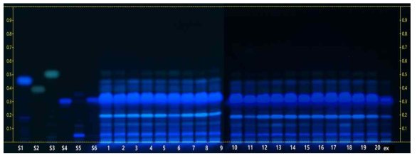 당귀 HPTLC chromatogram. osthole(S1), imperatorin(S2), isoimperatorin(S3), decursin(S4), decursinol(S5), decursinol angelate(S6), 당귀(1~20), 70% ethanol extract(ex