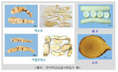 백수오와 이엽우피소, 통초와 등칡 비교