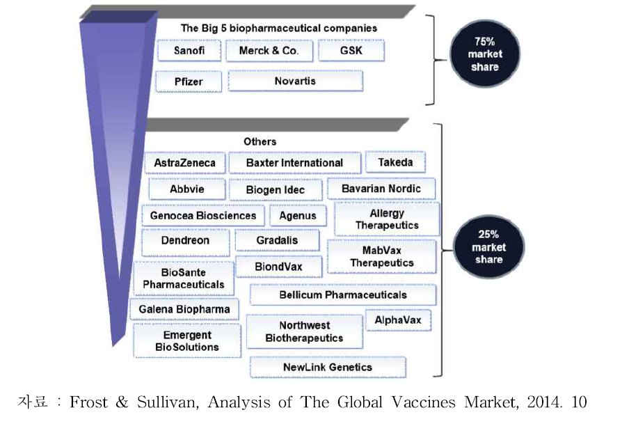 세계 백신시장의 주도 기업