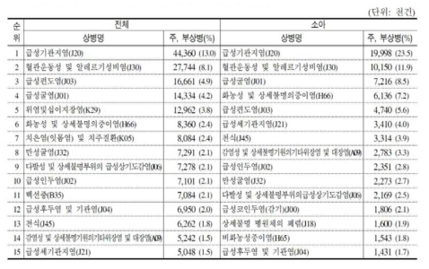 2013년 항생제 처방 명세건의 주·부상병 다빈도