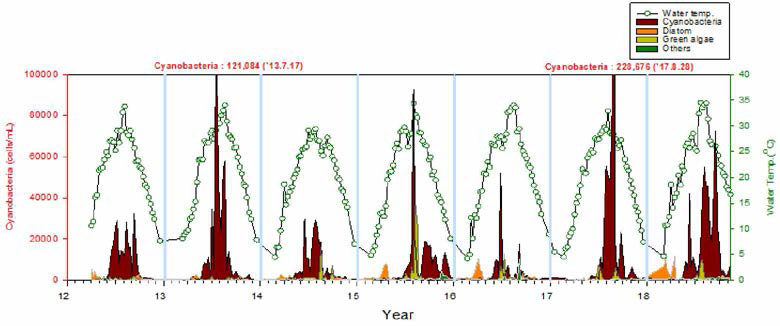 Phytoplankton occurrence in Chusori