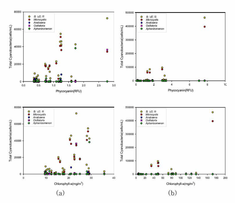 Correlation graphs between cyanobacteria, phycocyanin and Chl-a (a) Chusori, (b) Baekjebo