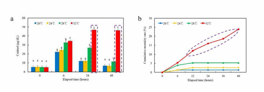 수온변화에 따른 잉어의 cortisol 변화(a)와 누적사망률 변화(b)