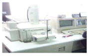 Scanning Electronic Microscope