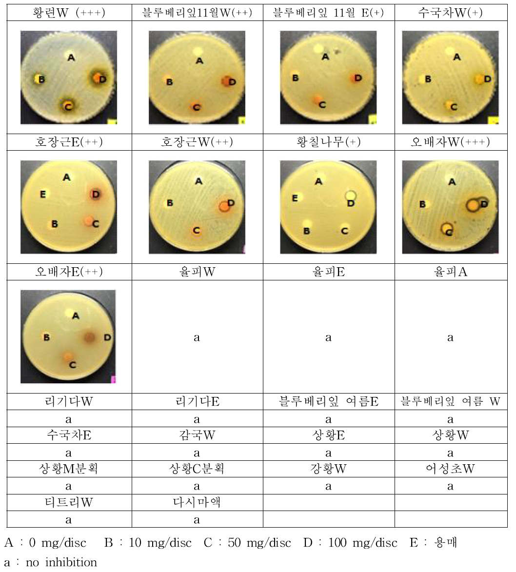 황색포도상구균에 대한 천연물의 항균 Test