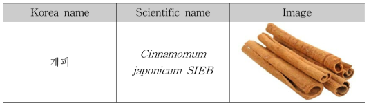 Natural plan: Cinnamomum japonicumt