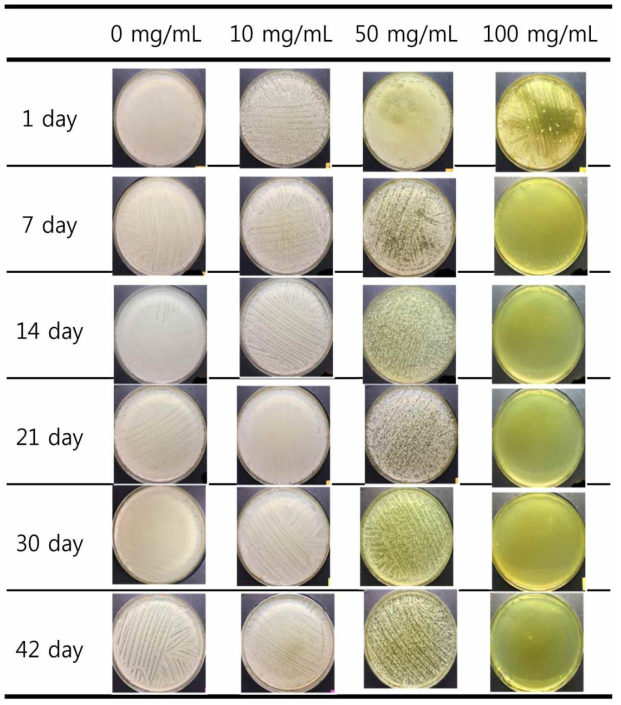 항균 지속성 Test