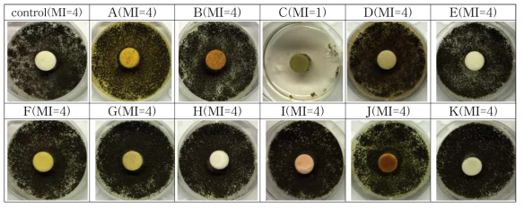 Antifungal performance of various natural substances on Aspergillus niger