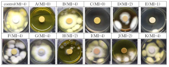 Antifungal performance of various natural substances on Penicilium pinophilum