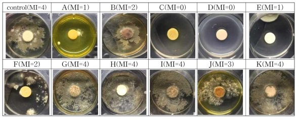 Antifungal performance of various natural substances on Chaetomium globosum