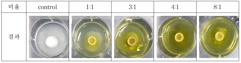 황련추출물과 계피추출물 비율에 따른 곰팡이 실험 결과