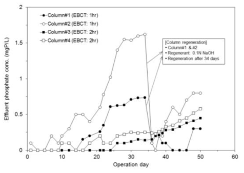 Lab-scale packed-bed 칼럼 반응기 운전 결과: 칼럼 유출수 인산염 인 농도 변화