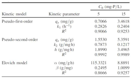 Magnetite의 인흡착 물질수지 해석을 위해 적용한 모델의 매개변수값 추정치 요약