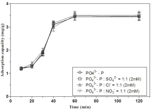 공존 음이온이 magnetite의 PO₄³- 흡착에 미치는 영향