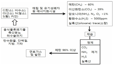 혐기성 가스의 발생, 정제 및 이용 과정