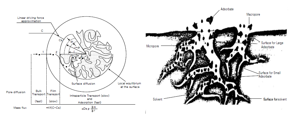 흡착의 진행과정 및 활성탄의 세공 구조