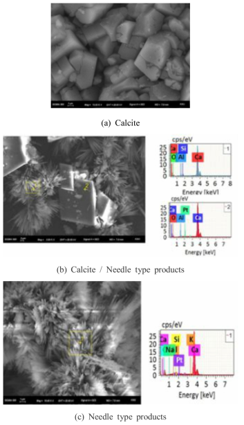 SEM images and EDS analysis results of S30NS3B3