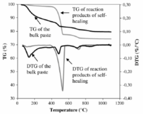 TG/DTG profiles of cement paste and healing products