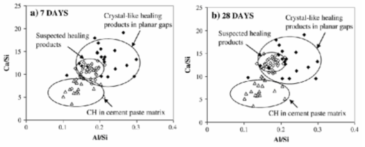 Comparison of Ca/Si and Al/Si of the suspected healing products