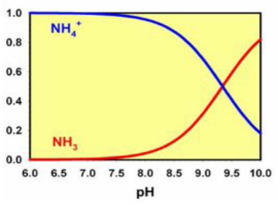 pH에 따른 질소 변화양상