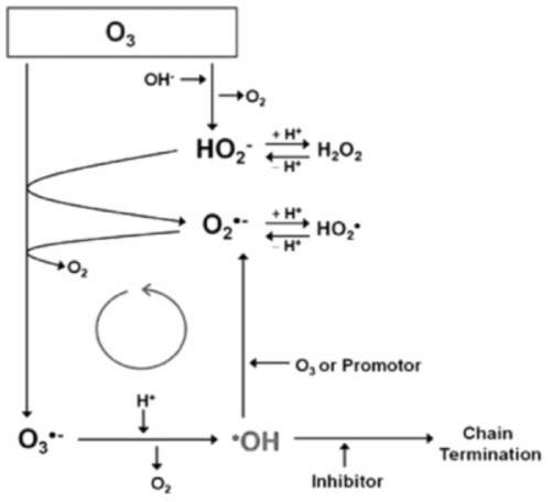 오존의 수용액 내에서의 자가분해 반응 (Quici, N. 2008)