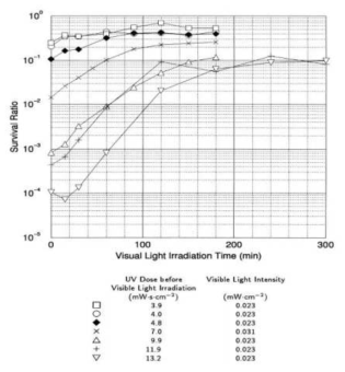 Photo-repair of E. coli using a General Low Prssure Mercury Lamp