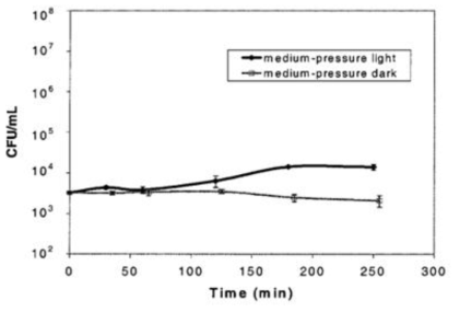 Photo-repair and dark-repair potential of E. coli following medium-pressure UV irradiation at a dose of 3 mJ/cm2