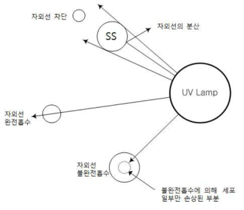 자외선 투과의 유형