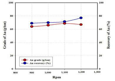 교반속도 변화에 따른 Au 품위 및 회수율 변화