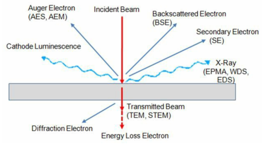 FE-SEM 분석 기본 원리(전자 입사 시 발생 신호)