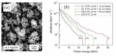 (a)탄소 폼 물질의 SEM 확대 이미지 (b)논문1)에 게재된 폼 타겟의 양성자 에너지 증가 효과